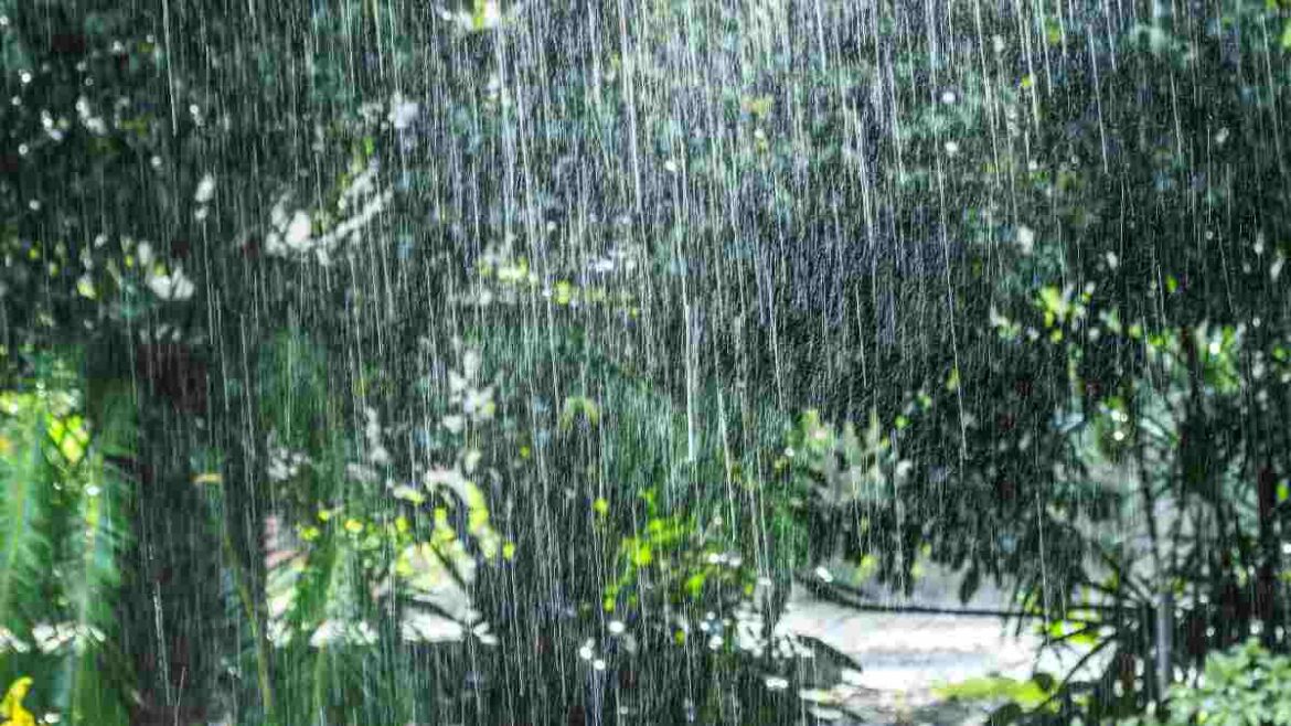 বৃষ্টির সতর্কতা