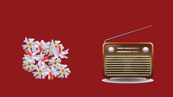 radio