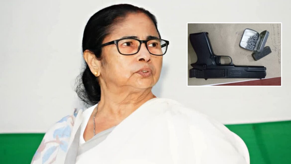 mamata