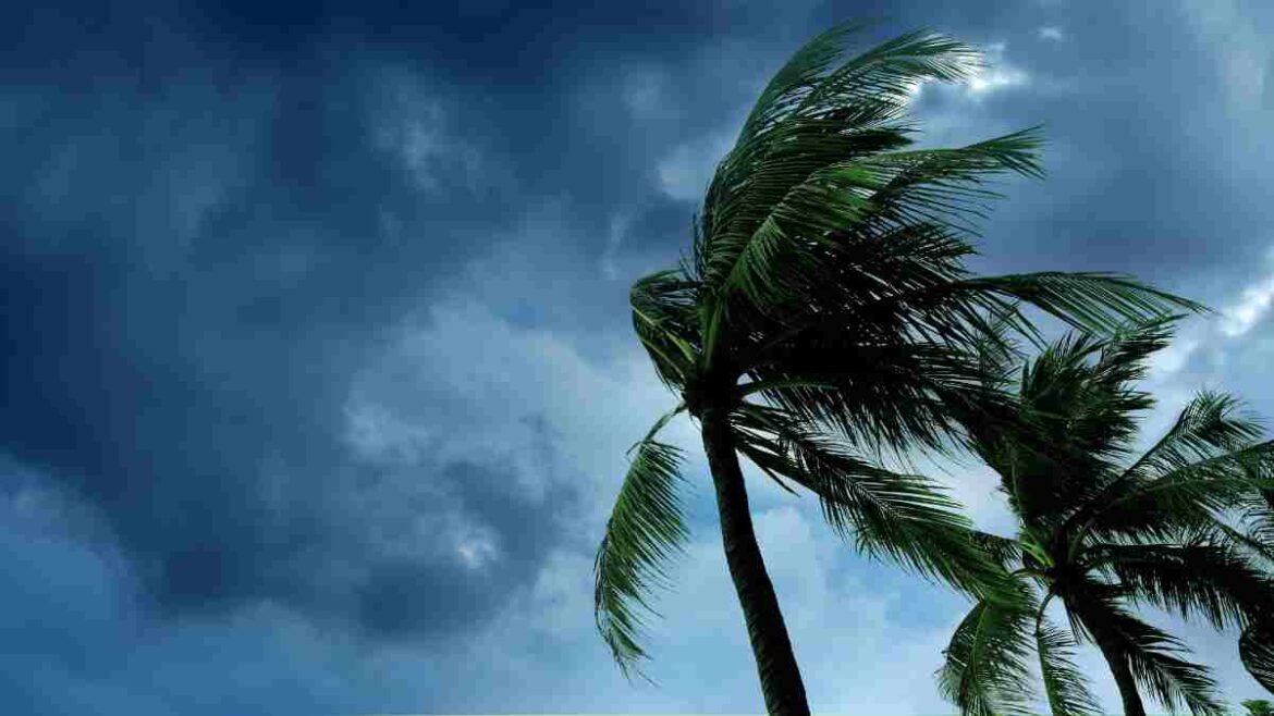 strom strom