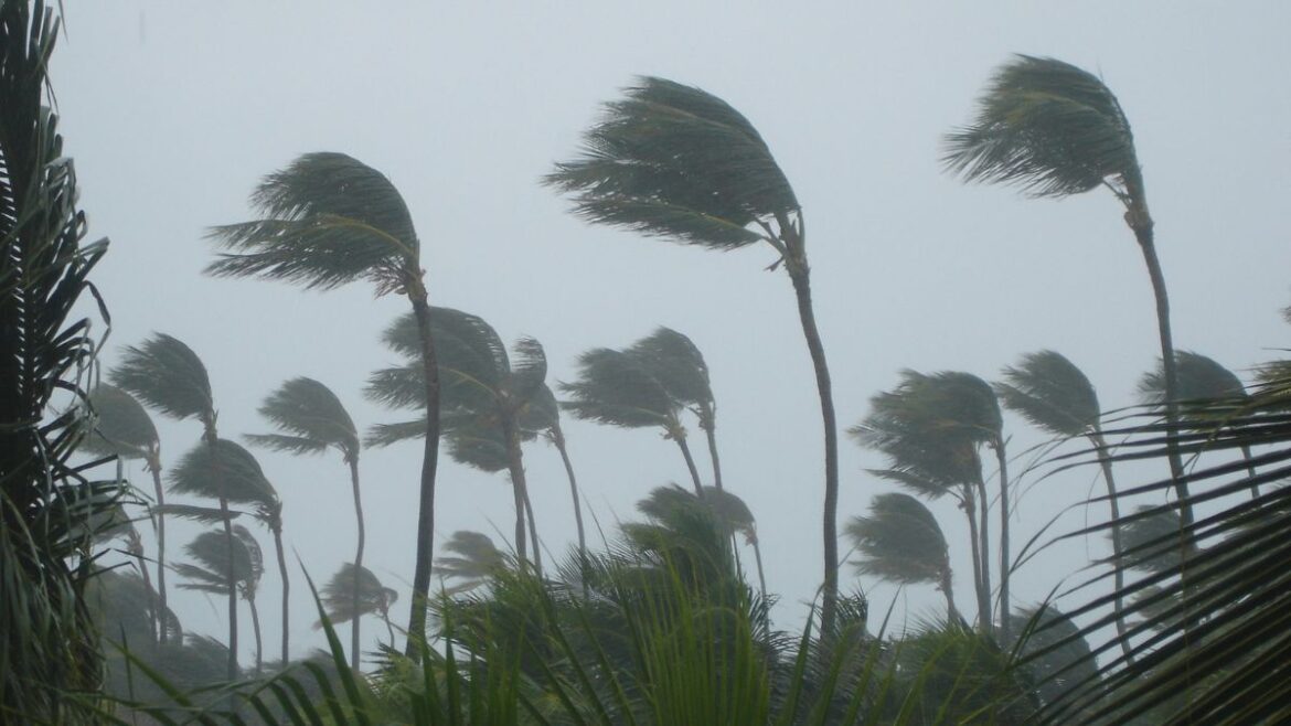 strom strom